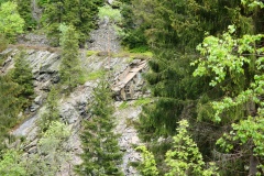 Schatz-Nabs-2009-028